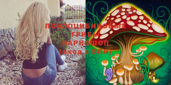 кокс Абаза