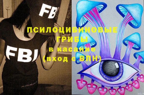твердый Алзамай