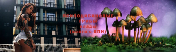 PSILOCYBIN Абинск
