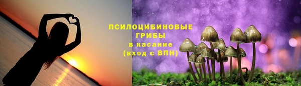 мяу мяу мука Абдулино