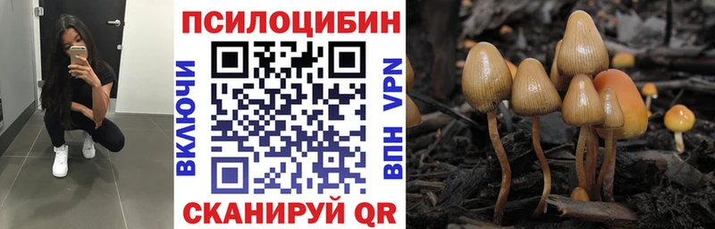 купить цена Тулун Галлюциногенные грибы Magic Shrooms