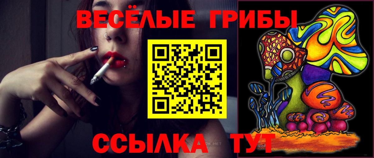 Галлюциногенные грибы GOLDEN TEACHER  Вход с VPN  Тулун 