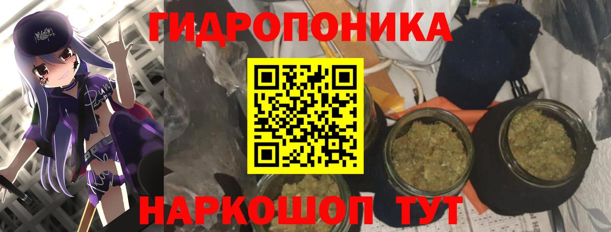 Бошки Шишки White Widow  МАРИХУАНА Amnesia  Вход с VPN  Тулун 